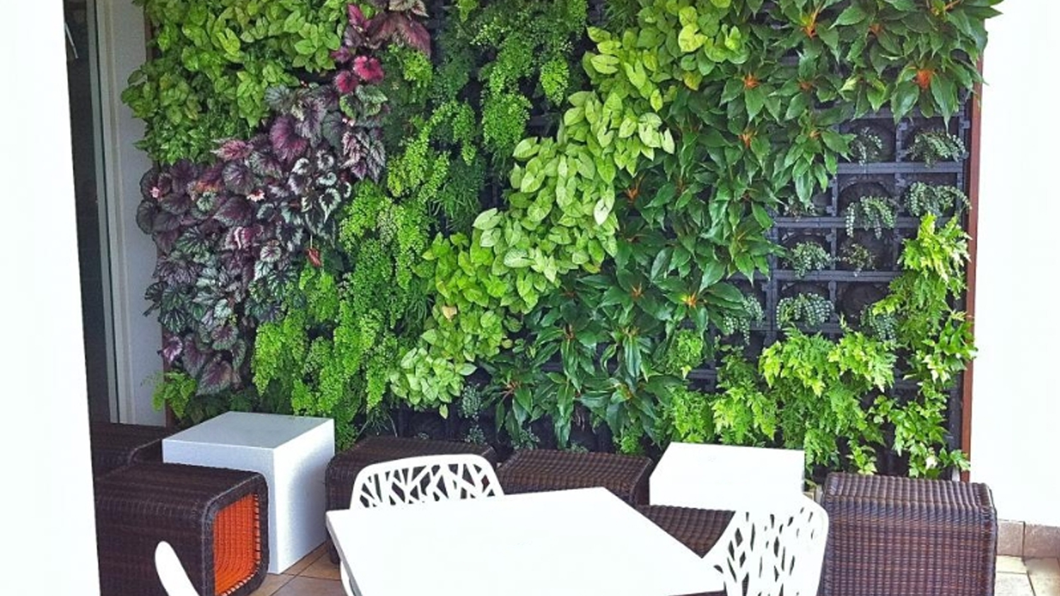 How to Create a Vertical Garden for an Apartment or Home - Beyond Spaces